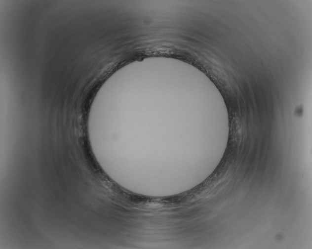 X0000116260224201001111000