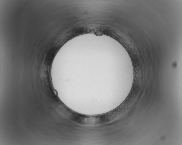 X0000116260225201001111000