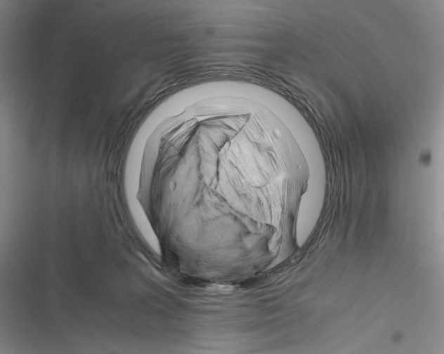 X0000116260227201001111000