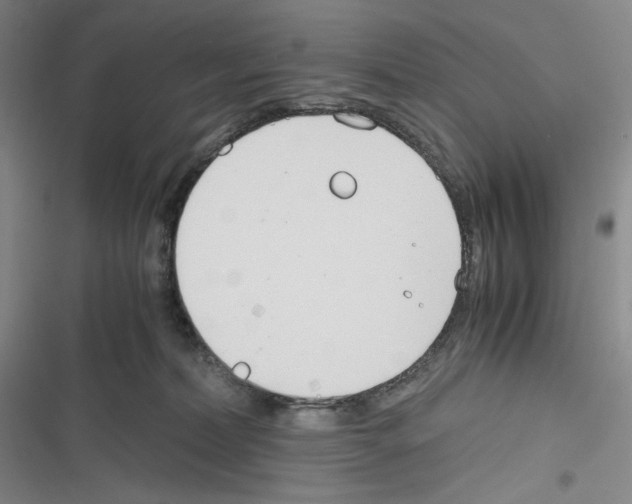 X0000116260228201001111000