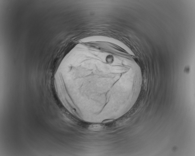X0000116260231201001111000