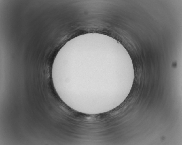X0000116260232201001111000