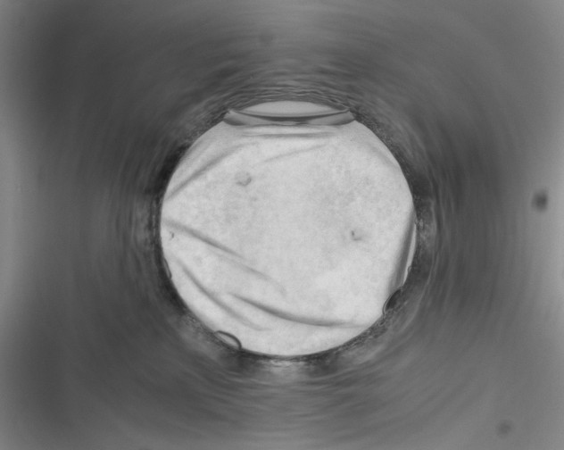 X0000116260233201001111000