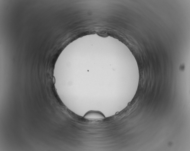 X0000116260236201001111000