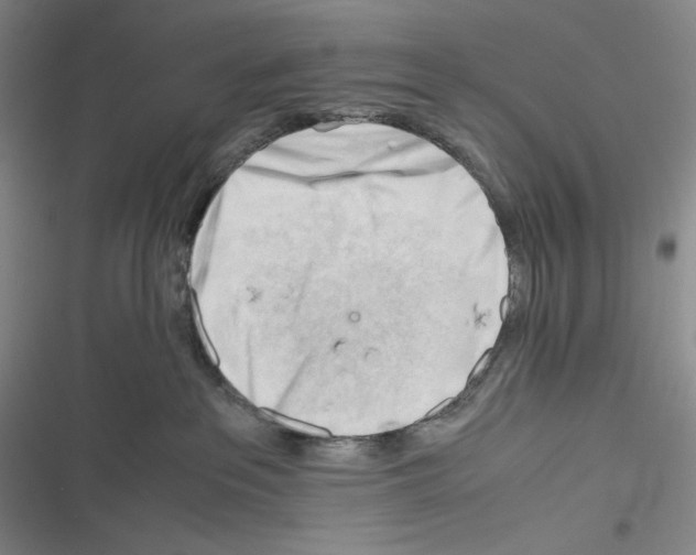 X0000116260237201001111000