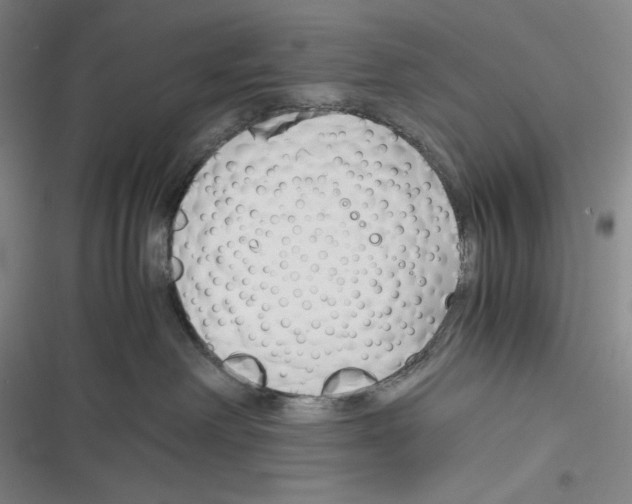X0000116260238201001111000