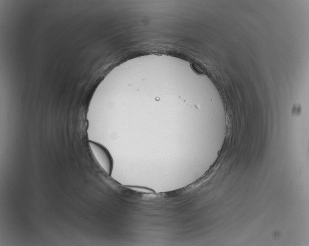 X0000116260240201001111000
