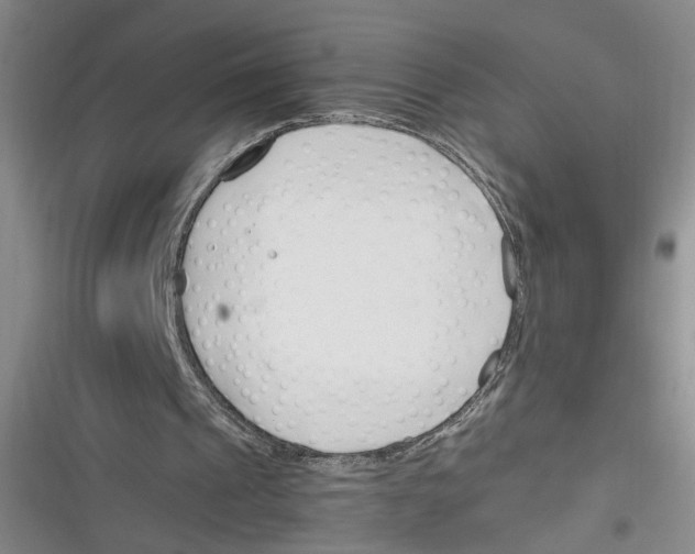 X0000116260241201001110959