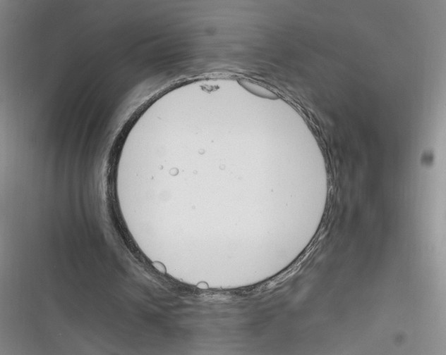 X0000116260242201001110959