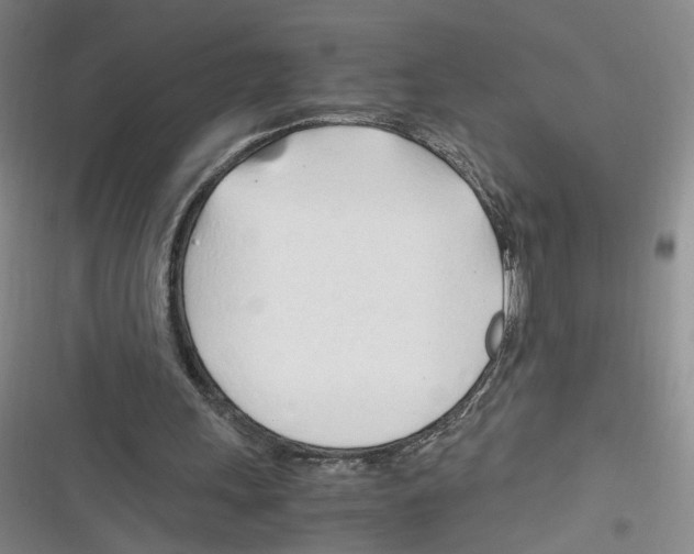 X0000116260243201001110959