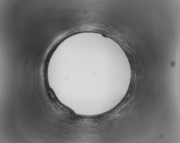X0000116260244201001110959