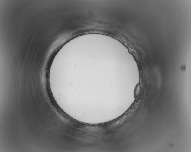 X0000116260245201001110959