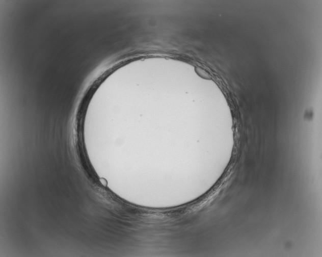 X0000116260246201001110959