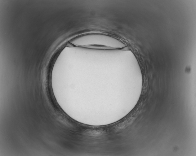 X0000116260247201001110959