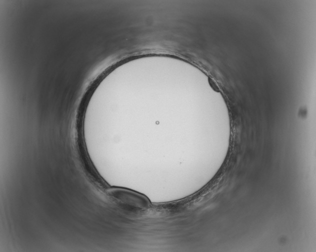 X0000116260248201001110959