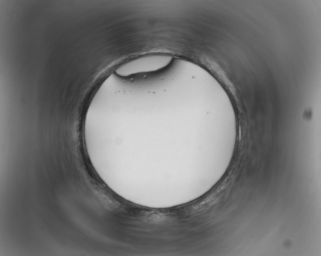 X0000116260249201001110959