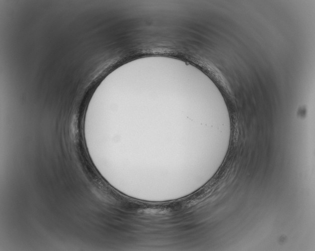X0000116260251201001110959