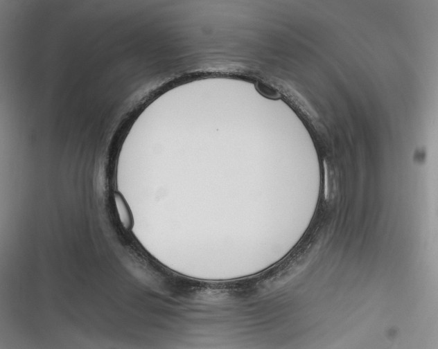 X0000116260252201001110959