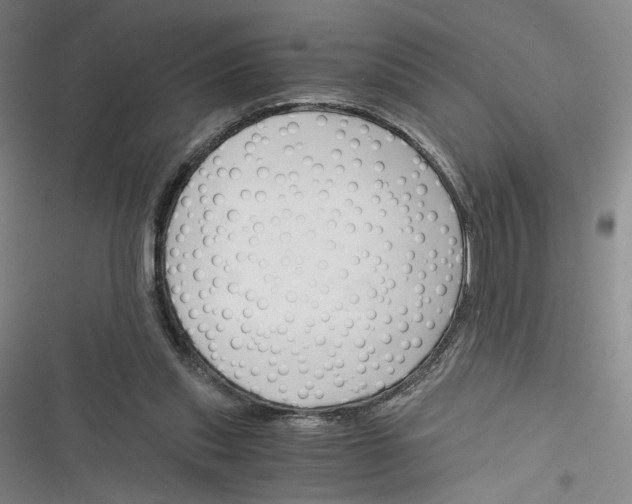 X0000116260253201001110959