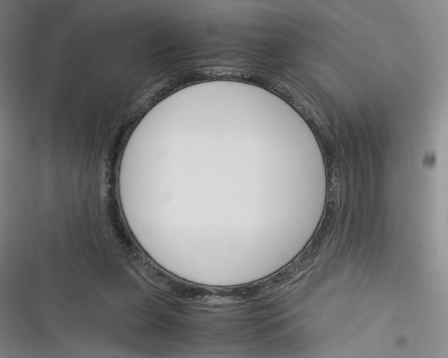 X0000116260255201001110959