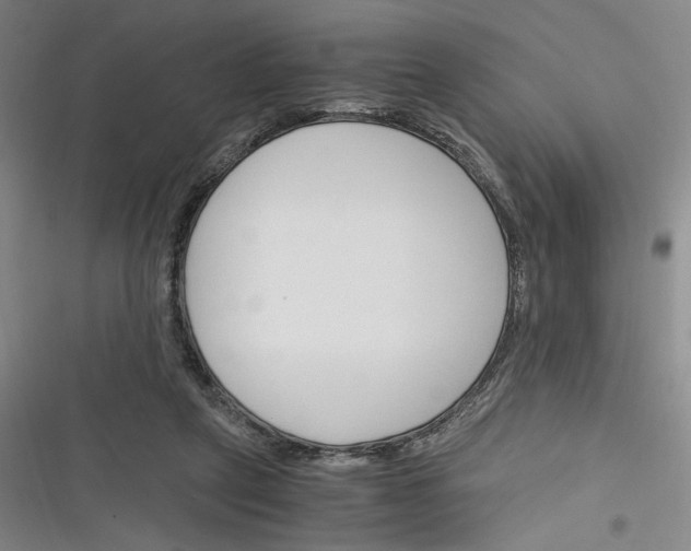X0000116260257201001110959