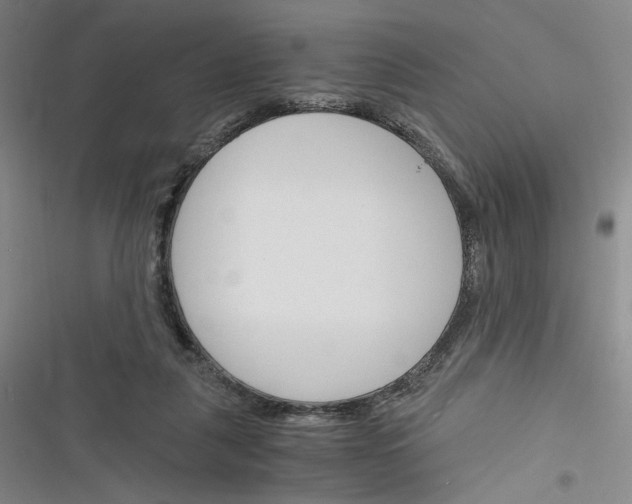 X0000116260259201001110959