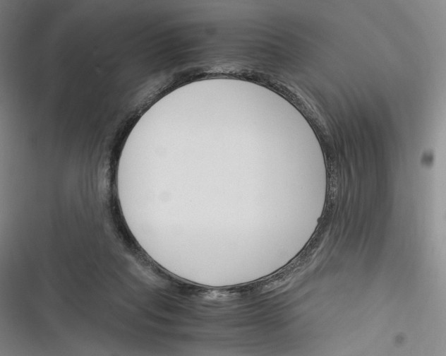 X0000116260261201001110959