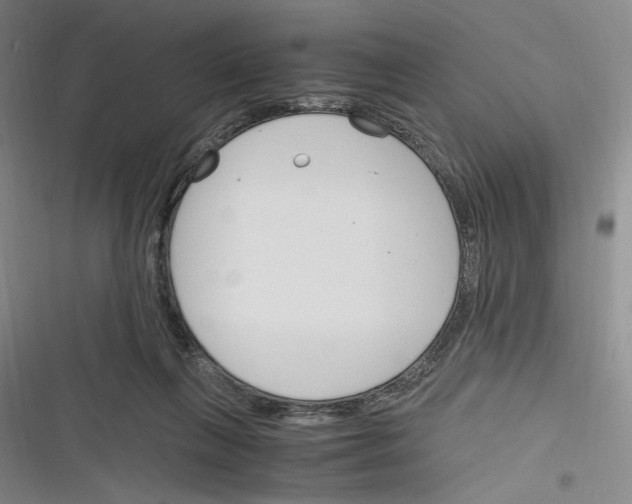 X0000116260263201001110959
