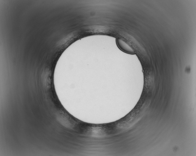 X0000116260264201001110959