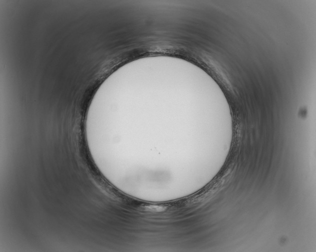 X0000116260265201001110959