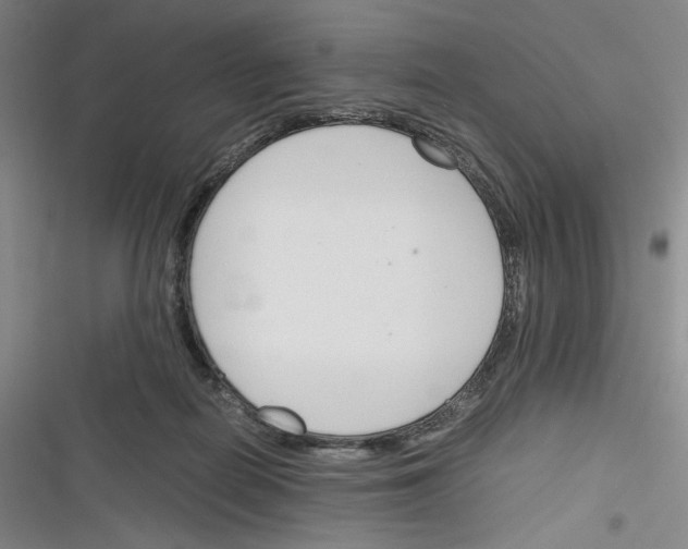 X0000116260266201001110959