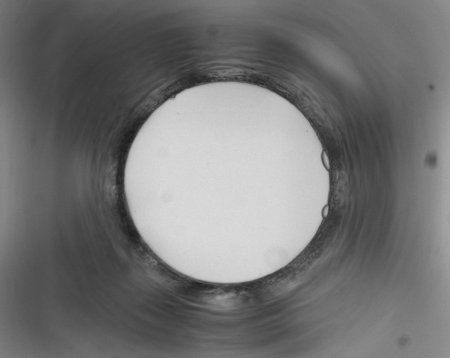 X0000116260267201001110959