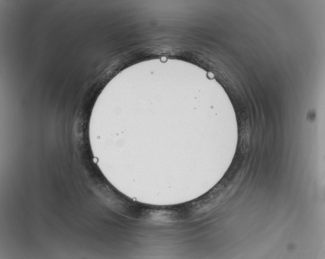 X0000116260268201001111000