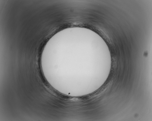 X0000116260269201001111000