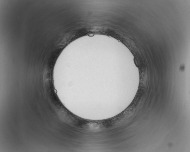 X0000116260272201001111000