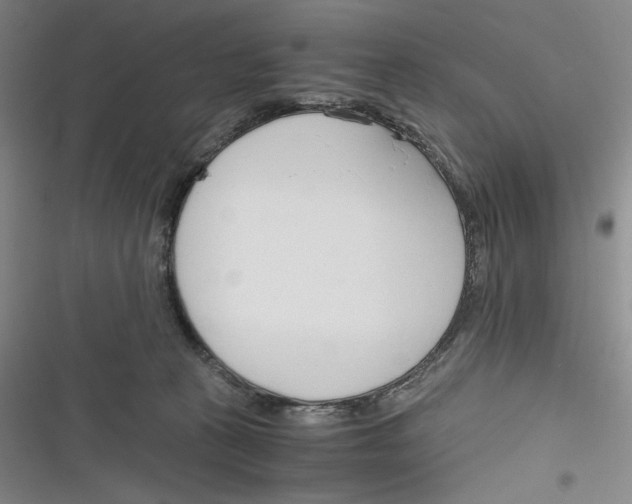 X0000116260273201001111000