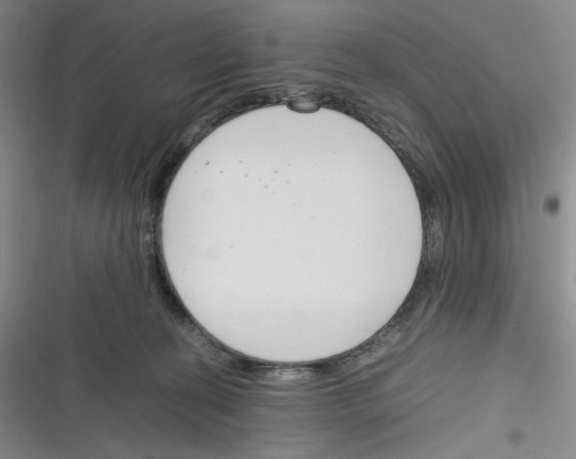 X0000116260274201001111000