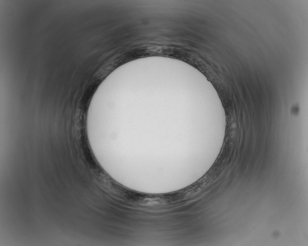 X0000116260275201001111000