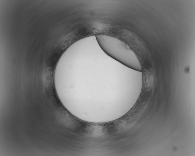 X0000116260276201001111000
