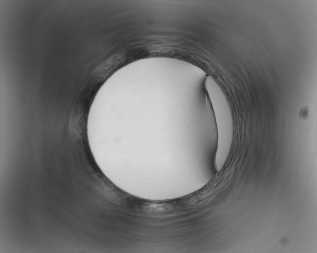 X0000116260277201001111000