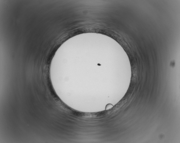 X0000116260278201001111000