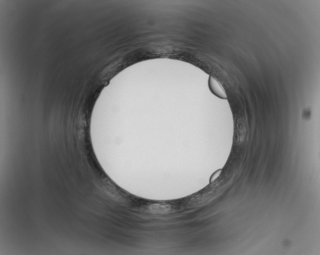 X0000116260279201001111000