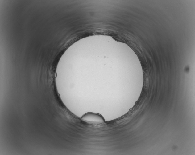 X0000116260282201001111000