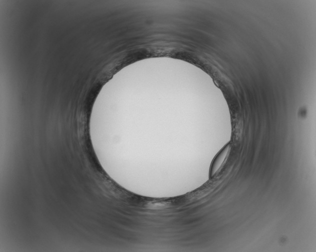 X0000116260283201001111000