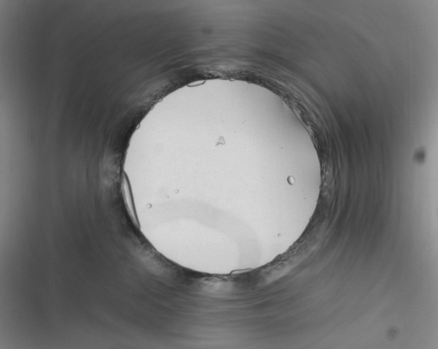 X0000116260284201001111000