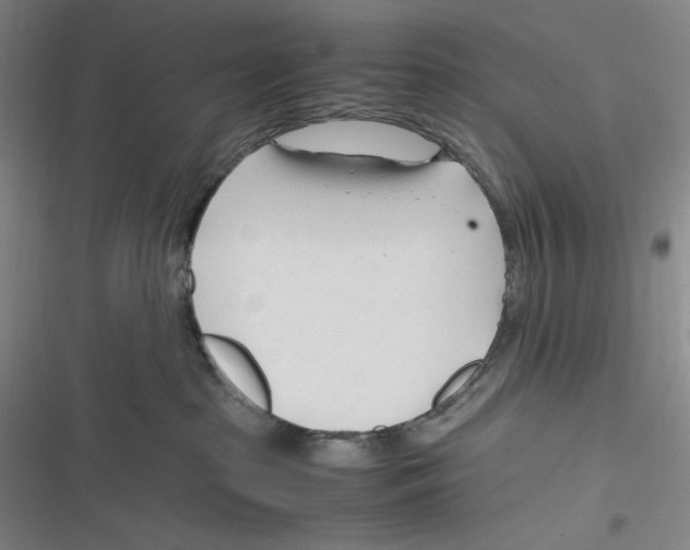 X0000116260285201001111000