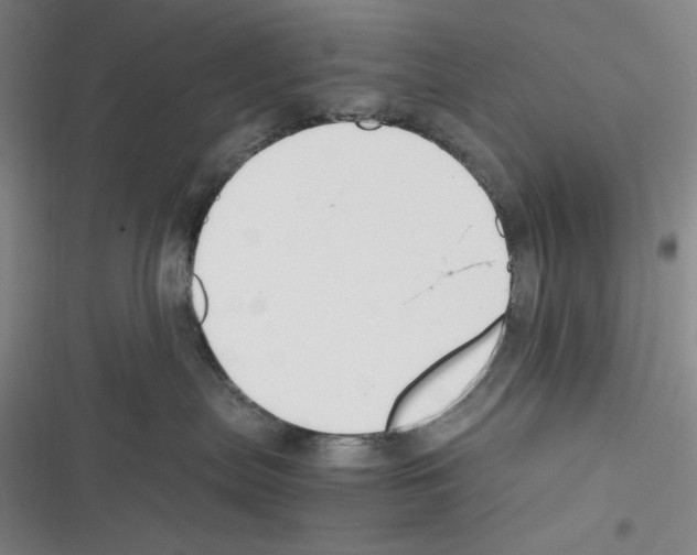X0000116260287201001111000