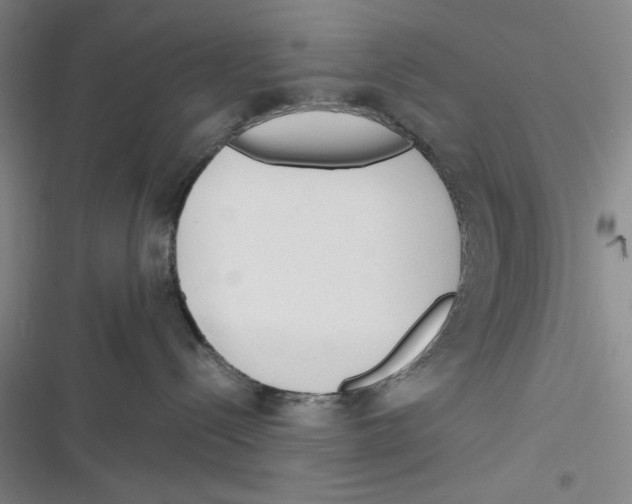 X0000116260288201001111000