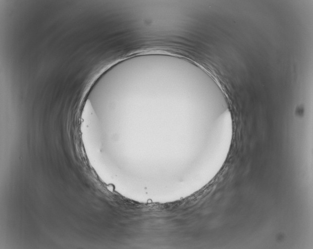 X0000116260289201001110959