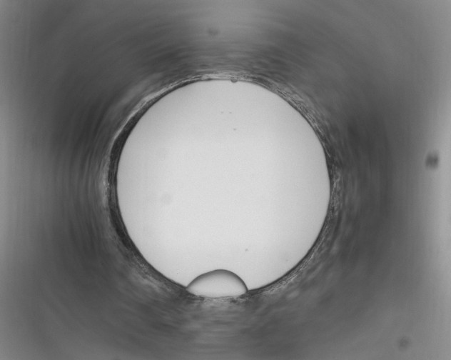 X0000116260290201001110959